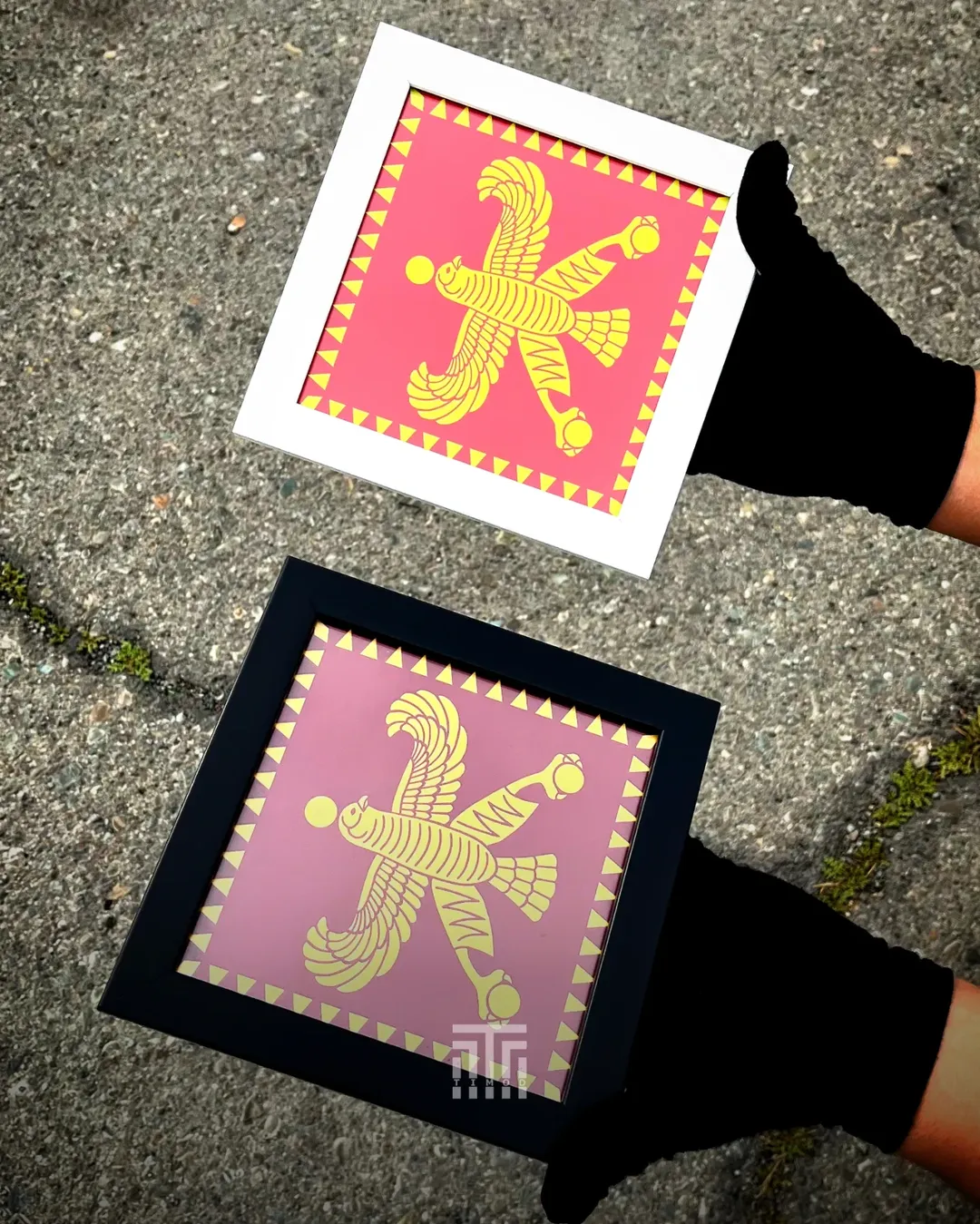 قاب درفش شهباز ۲